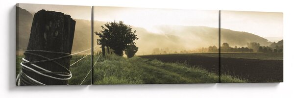 Obraz louky (170x50 cm)