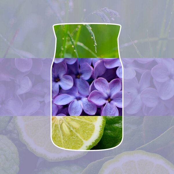 Sójová vonná svíčka Lilac Yankee Candle 1 ks