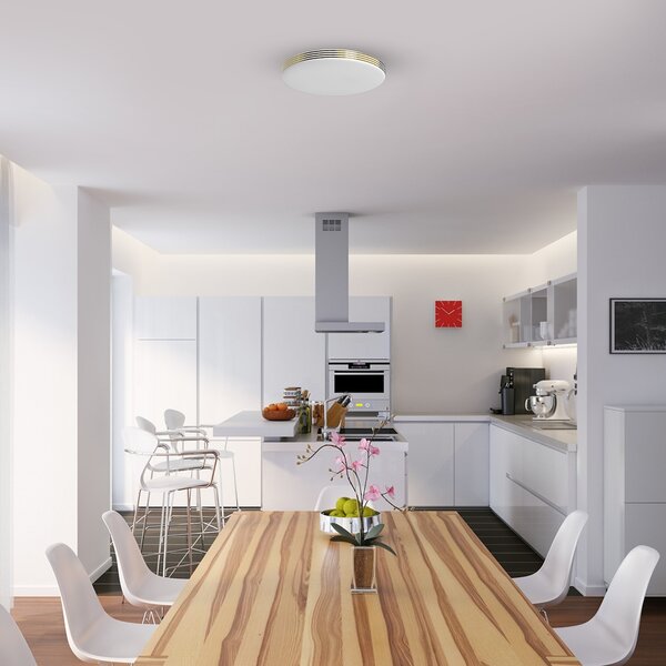 Stropní LED svítidlo Bever, 1x LED 10w, 4000k, g