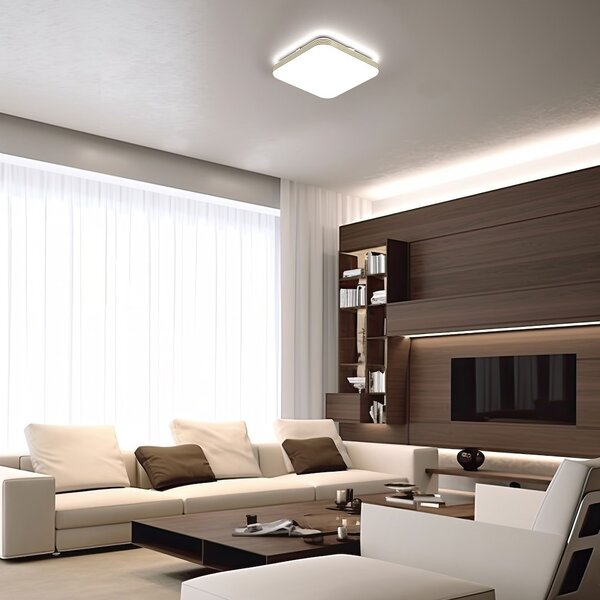 Stropní LED svítidlo Dabar, 1x LED 11w, 4000k, g
