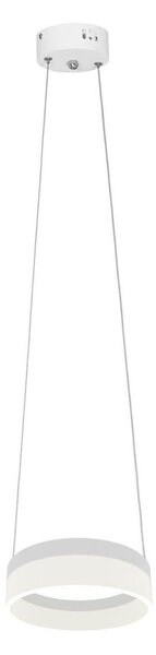 LED Lustr na lanku RING LED/12W/230V