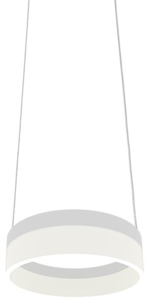 LED Lustr na lanku RING LED/12W/230V