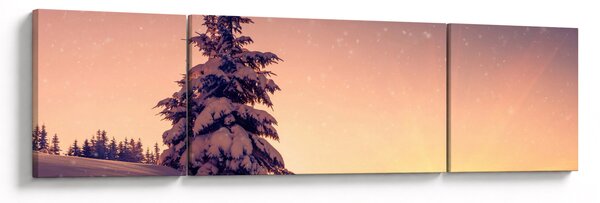 Obraz zasněženého stromu na louce (170x50 cm)