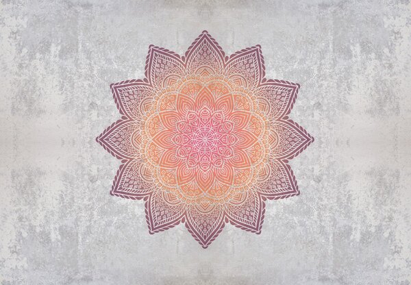 Fototapeta - Mandala s betonovým motivem (245x170 cm)