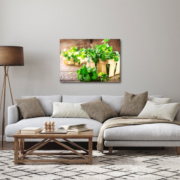 Obraz čerstvé máty (70x50 cm)