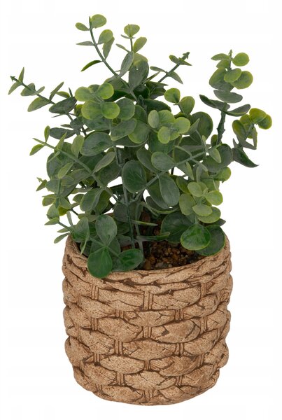 UMĚLÝ EUKALYPTUS ZELENÝ V KVĚTINÁČI, výška 27 cm, UMĚLÁ ROSTLINA