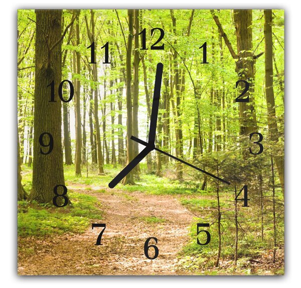 Nástěnné hodiny 30x30cm listnatý les s cestou - plexi