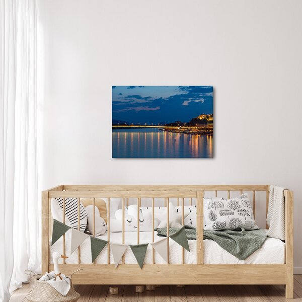 Obraz Bratislavy s hradem (70x50 cm)