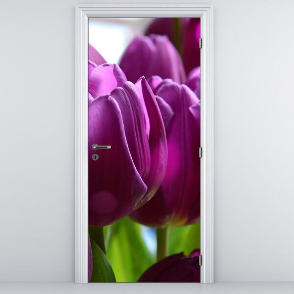 Fototapeta na dveře - Tulipány (95x205cm)