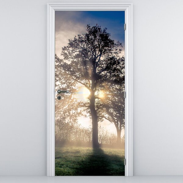 Fototapeta na dveře - Strom v mlze (95x205cm)