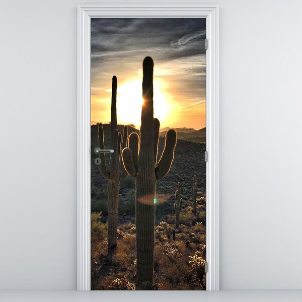 Fototapeta na dveře - Kaktusy ve slunci (95x205cm)