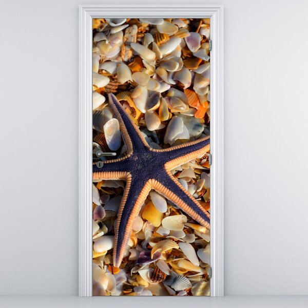 Fototapeta na dveře - Mořská hvězdice (95x205cm)