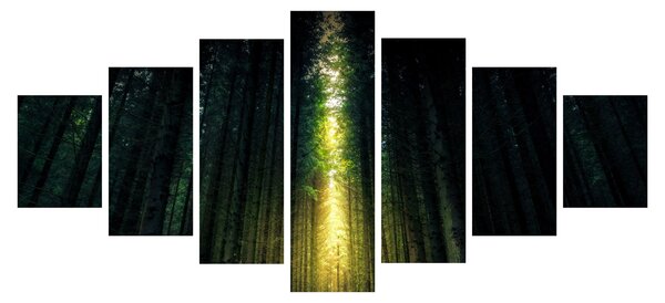 Obraz temného lesa (210x100 cm)