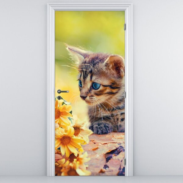 Fototapeta na dveře - Koťátko dívající se na květinu (95x205cm)