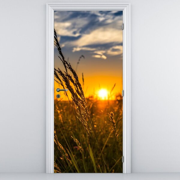 Fototapeta na dveře - Pole při západu slunce (95x205cm)