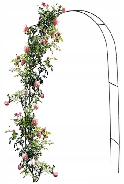 Zahradní oblouk na růže brána 240 x 140 cm