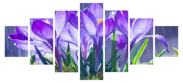 Obraz květin v dešti (210x100 cm)