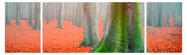 Obraz stromů (170x50 cm)