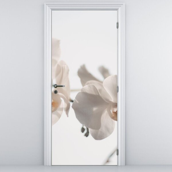 Fototapeta na dveře - Bílé orchideje (95x205cm)