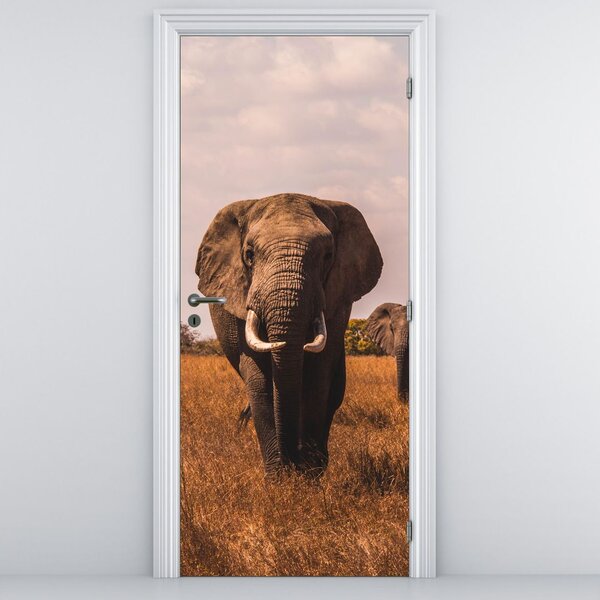Fototapeta na dveře - Příchod slona (95x205cm)