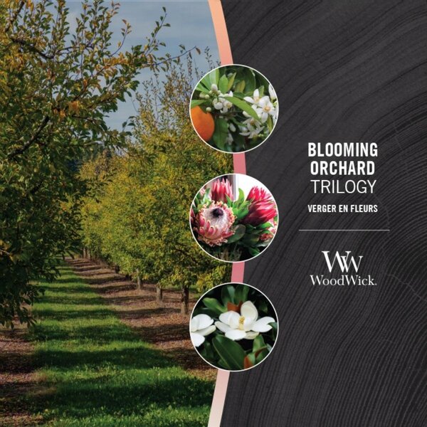 Sójová vonná svíčka Blooming Woodwick 1 ks