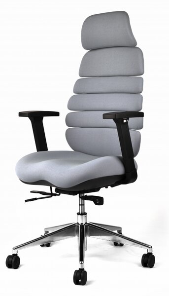 Kancelářská ergonomická židle SPINE s podhlavníkem — látka, nosnost 130 kg Šedá