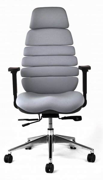 Kancelářská ergonomická židle SPINE s podhlavníkem — látka, nosnost 130 kg Šedá