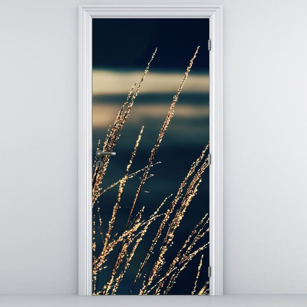 Fototapeta na dveře - Traviny (95x205cm)