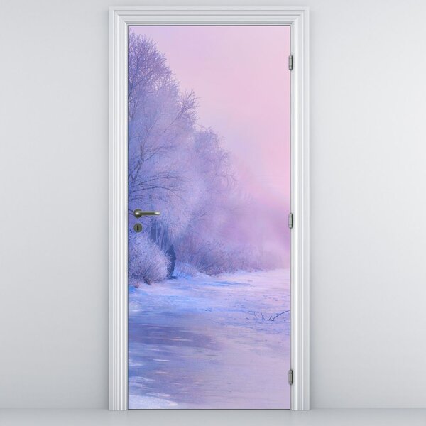 Fototapeta na dveře - Zamrzlá řeka (95x205cm)