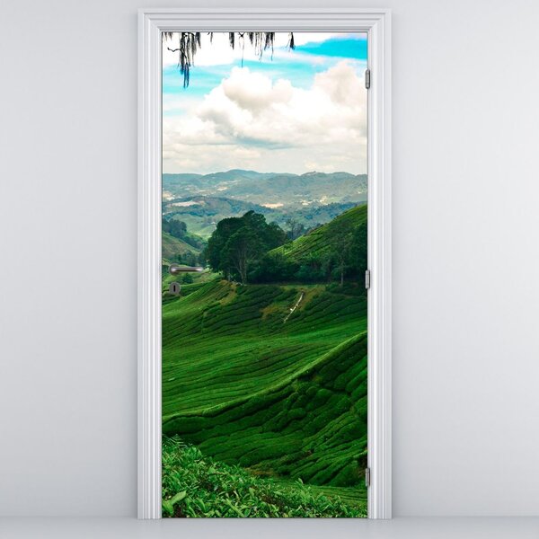 Fototapeta na dveře - Čajové plantáže v Malajsii (95x205cm)