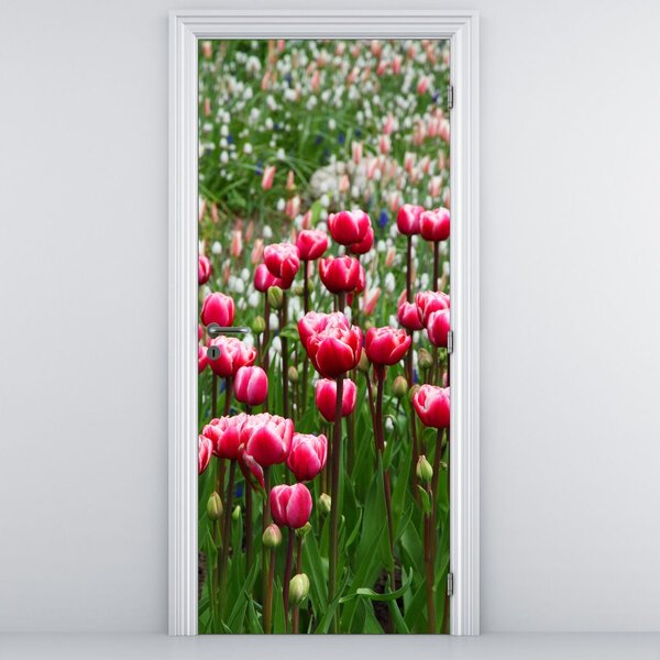 Fototapeta na dveře - Tulipány (95x205cm)