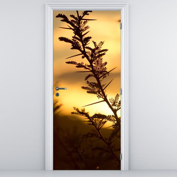 Fototapeta na dveře - Slunce zapadající za stromy (95x205cm)
