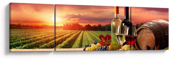 Obraz vinice s vínem (170x50 cm)