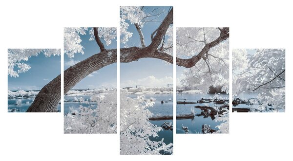 Obraz zasněženého stromu u vody (125x70 cm)