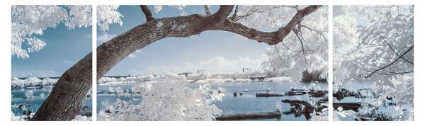 Obraz zasněženého stromu u vody (170x50 cm)