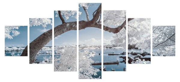 Obraz zasněženého stromu u vody (210x100 cm)