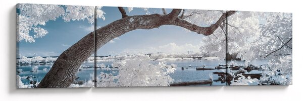 Obraz zasněženého stromu u vody (170x50 cm)