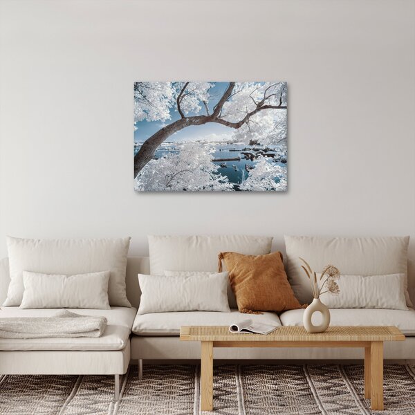Obraz zasněženého stromu u vody (70x50 cm)