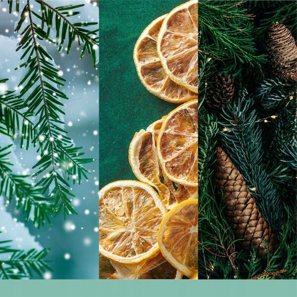 Yankee Candle Vonná svíčka HOLIDAY WINTERFEST 567g