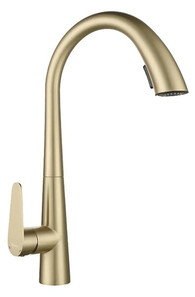 REA-B5312 - Dřezová baterie s vytahovací sprškou ROSS 43 cm broušená zlatá