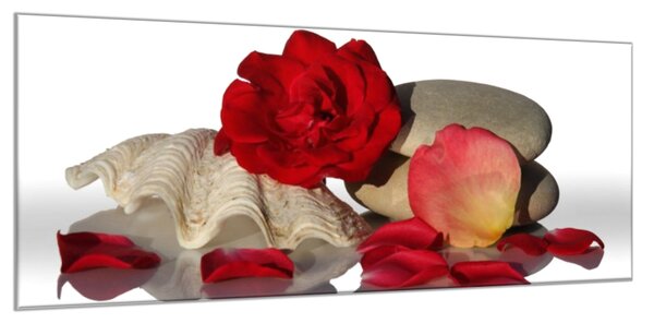 Obraz skleněný květ a lístky červené růže na mušli - 30 x 60 cm