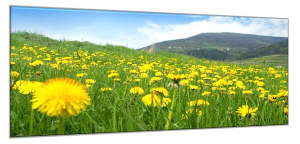 Obraz skleněný rozkvetlá louka - 30 x 60 cm