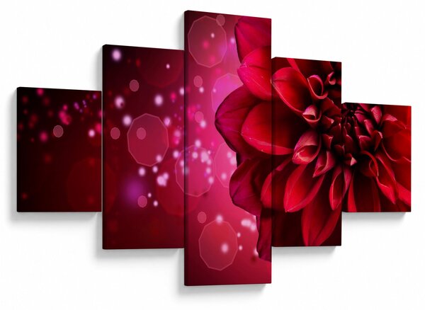 Obraz červené květiny (125x70 cm)