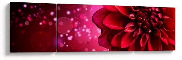 Obraz červené květiny (170x50 cm)