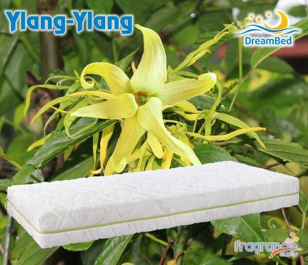 Matrace Ylang z paměťové pěny DreamBed - 80x190cm