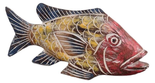 Červená mořská ryba 40 cm