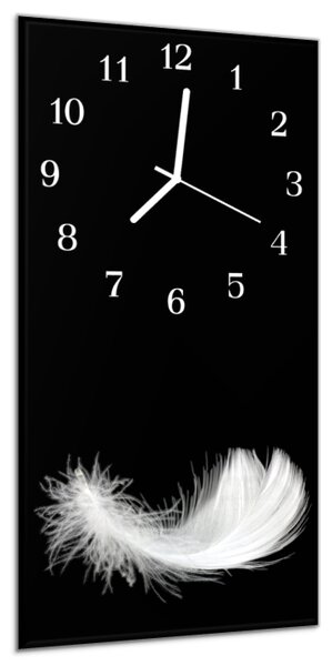 Nástěnné hodiny 30x60cm bílé peří na černé pozadí - plexi