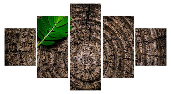Obraz listu na kmeni stromu (125x70 cm)