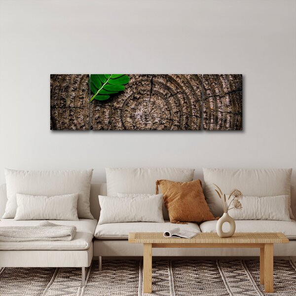 Obraz listu na kmeni stromu (170x50 cm)