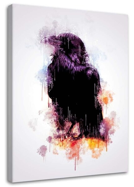 Obraz na plátně Černá vrána - Cornel Vlad Rozměry: 40 x 60 cm